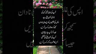 اپکی بیوی flute music cover ringtone recorder quotes backgroundmuisc musiclove poetry back [upl. by Llenil]