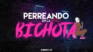 PERREANDO EN LA BICHOTA REMIX ⚡ ANIASKO [upl. by Pennington]