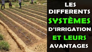 Les différents systèmes dirrigation en agriculture et leurs avantages [upl. by Nnaycart]