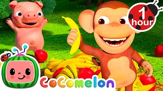 Apples and Bananas  1 Hour CoComelon Animal Time  Healthy Fruit Nursery Rhymes for Kids [upl. by Abigale175]