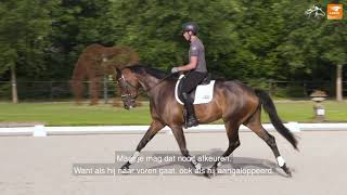 Tips van de top  De leertheorie van het paard [upl. by Can629]