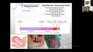 1er Curso sobre Mecanismo de Terapia de Parto [upl. by Osnerol843]