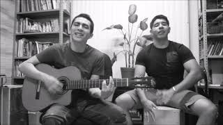 Así es la Vida  Elefante  Cover [upl. by Haerr543]