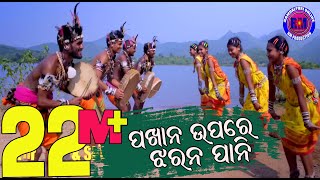 Pakhana Upare Jharana Pani Sambalpuri Folk Video 2018 [upl. by Tezile783]