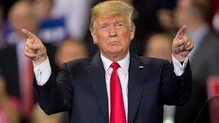 Trump und der Staatsstreich der Konzerne 2019HD  Deine Doku [upl. by Odrude]