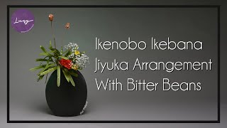 Ikebana Jiyuka 36 Ikenobo Ikebana Jiyuka Arrangement With Bitter Beans [upl. by Nuawaj]