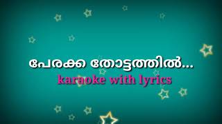 Perakka thottathil karaoke with lyrics [upl. by Nenerb680]