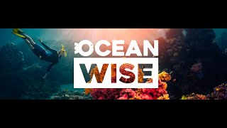 What is Ocean Wise [upl. by Bautista]