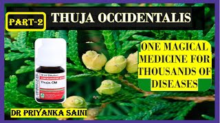 THUJA OCCIDENTALIS  HOMEOPATHY MEDICINE 1 MEDICINE FOR THOUSAND DISEASES drpriyankashomeopathy [upl. by Airan]