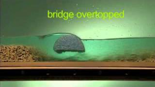 Sedimentbridge interaction [upl. by Bogey]