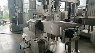 Japanese Panko Bread Crumb Extruder Grinding Crushing Extrusion Making Machine [upl. by Calva]