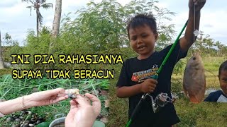 MANCING SAMBIL MASAK KEONG RAWA [upl. by Adnanref]