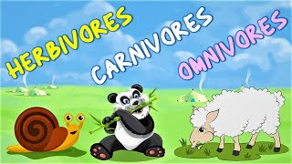 Herbivores Carnivores and Omnivores for kids  Animals Eating Habits with example [upl. by Rivkah]