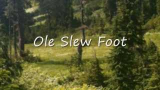 Ole Slew Foot  Johnny Horton [upl. by Aoniak]