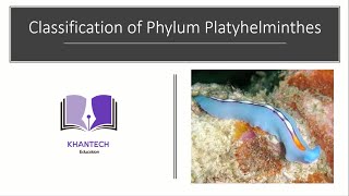 Phylum Platyhelminthes  Classification of Phylum Platyhelminthes [upl. by Notwen]