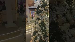 Christmas SM Seaside Cebu City [upl. by Aniryt835]