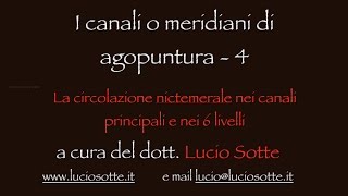 canali o meridiani di agopuntura 4 La circolazione nictemerale nei canali principali e nei 6 livelli [upl. by Tager]