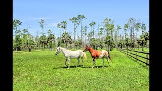 Naples Horse property for sale 2900 Newman Dr Naples FL 34114 [upl. by Eus]