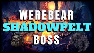 SHADOWPELT  Werebear Boss TIBIA [upl. by Turmel]