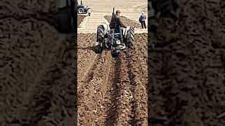 David Brown Tractor Ransomes Plough at Cruckton Ploughing Match  Saturday 14th September 2024 [upl. by Alleciram597]