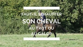 faut il ÉCHAUFFER son cheval au trot ou au galop [upl. by Shaughn]