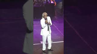 Billy Ocean Live Melbourne 2023 Caribbean Queen shorts billyocean melbourne concert live 2023 [upl. by Kciredorb]