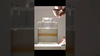 Laminar Flow ytshorts viral [upl. by Nosliw]