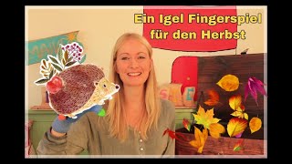 Fingerspiel für den Herbst I Igel I Kita I Kindergarten Ideen I Fingerspiele für Kinder [upl. by Shushan937]