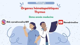 thymus histologie 2ème année medecine شرح بالدارجة و الرسم [upl. by Alaekim]