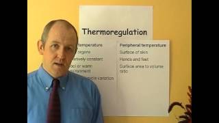 Thermoregulation 5 Body temperature [upl. by Nilsoj]