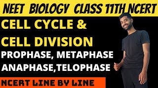 Cell cycle and Cell Division  M Phase  Prophase  Metaphase  Anaphase  Telophase [upl. by Zippel772]