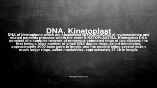 Medical vocabulary What does DNA Kinetoplast mean [upl. by Coleville249]