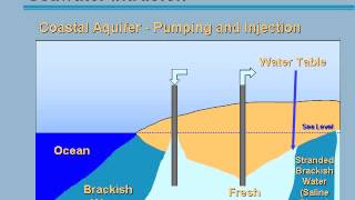 Modelling of Seawater Intrusion [upl. by Amati]