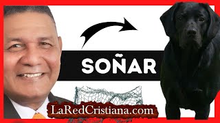 🔴 Soñar con Perros Negros   Jauría   P Pedro Carrillo  LaRedCristianaCom [upl. by Llatsyrc]