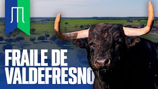 GANADERIA FRAILE DE VALDEFRESNO  TOROS 2023 [upl. by Ellehsal]