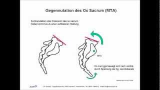 ISG Ilio Sacral Gelenk Biomechanik Manuelle Therapie Osteopathie Skript [upl. by Charis265]