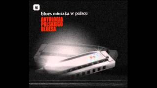 nocna zmiana bluesa  hotelowy blues [upl. by Nnylaehs688]