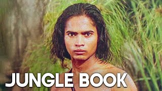 The Tale of an Orphan Boy who Became the Jungle King  Full Adventure Movie  English [upl. by Hettie]