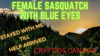 CC episode 449 A BLUE EYED FEMALE SASQUATCH STAYED WITH ME TILL HELP ARRIVED [upl. by Aleel895]