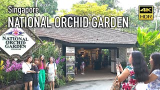 Explore The Captivating Orchid World In Singapores National Orchid Garden  4k Hdr [upl. by Nuawd]