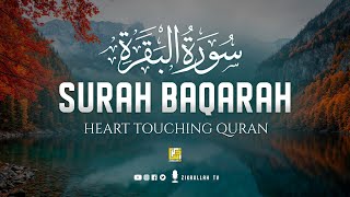 Surah Al Baqarah Full سورة البقره  Relaxing heart touching Majestic voice  Zikrullah TV [upl. by Morentz]