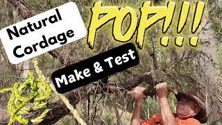 How to Make Natural Cordage Watch to the end to see the test [upl. by Alitha]