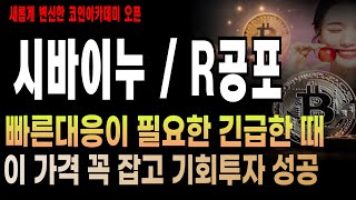 시바이누 전망 분석R공포까지  빠른대응 긴급 기회투자 성공 눌림목 리플 리플코인 리플속보 리플분석 해리슨 리플코인대응전략 트럼프 트럼프코인 솔라나코인 투자 [upl. by Harobed786]