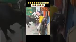 O Tera cytshorts funny trending punjabisong followforfollowback follow viralvideo comment [upl. by Codie578]