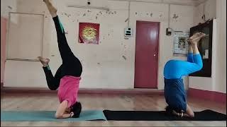 shirshasana practice time youtubeshorts yogaasana motivation asanapractice [upl. by Ayirp591]