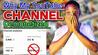 Why I got Demonetized from YouTube [upl. by Namien]