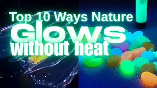 Luminescence 10 Ways Nature Glows [upl. by Latin]