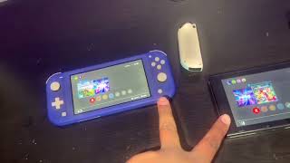 Comparing the Nintendo switch light to the Nintendo switch [upl. by Yerrok162]