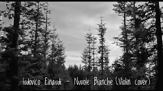 ludovico Einaudi  Nuvole Bianche Violin cover  2mins [upl. by Ylenats]