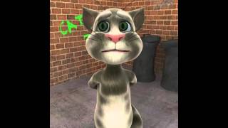 Talking Tom  Créole 1 [upl. by Vlad245]